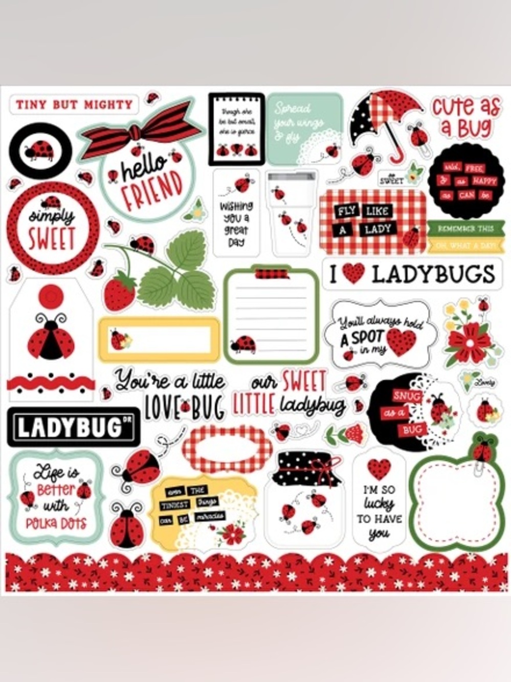 🐞Echo Park Little Ladybug 12x12 Element Sticker Sheet❤️😍